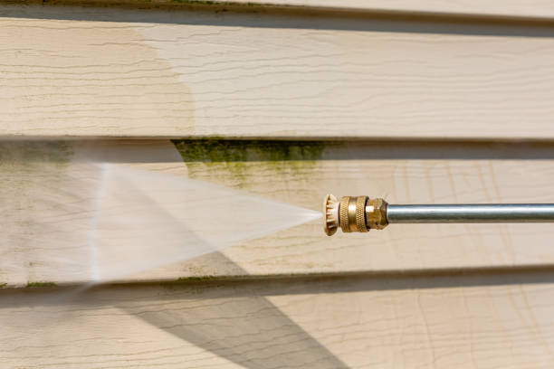 Deck Cleaning Services in Bardstown, KY